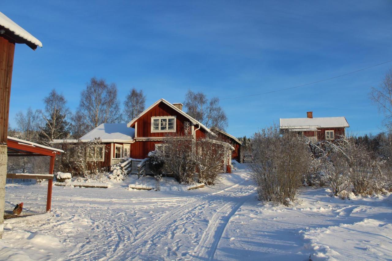 Boende Naera Romme Alpin Och Andra Friluftsaktiviteter I Dalarna Smedjebacken Eksteriør billede